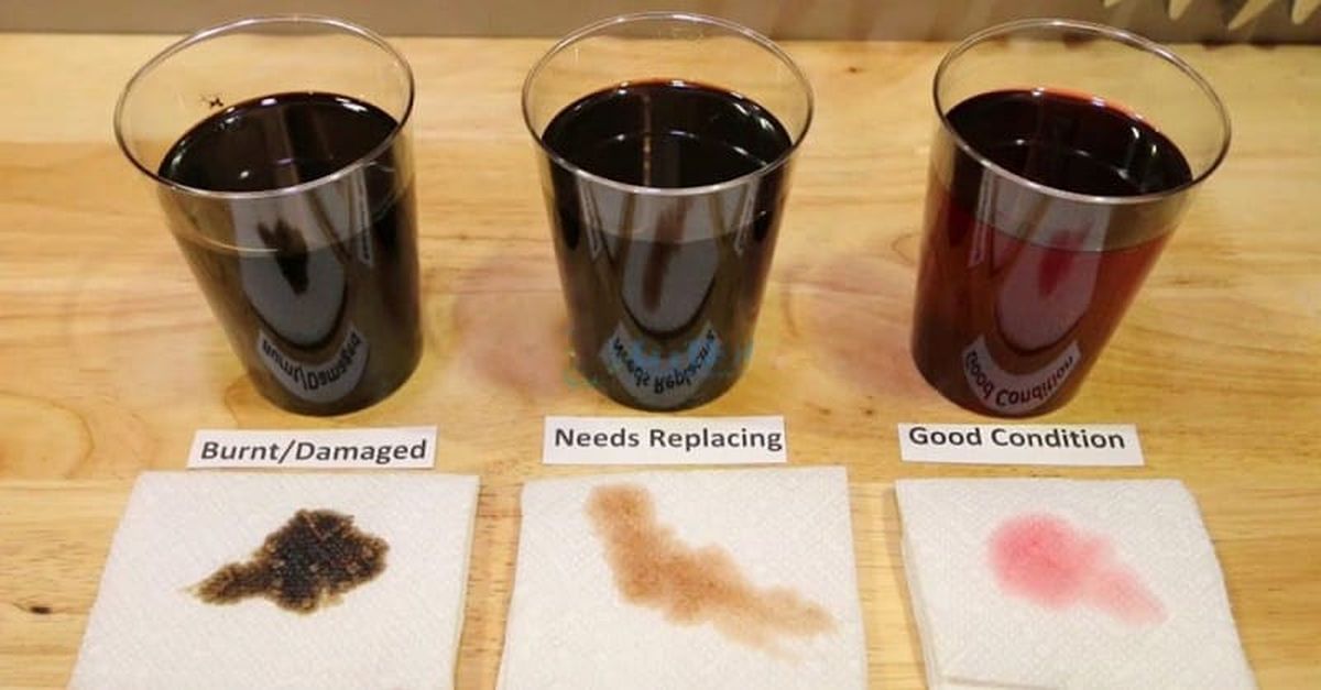 cách kiểm tra dầu hộp số ô tô