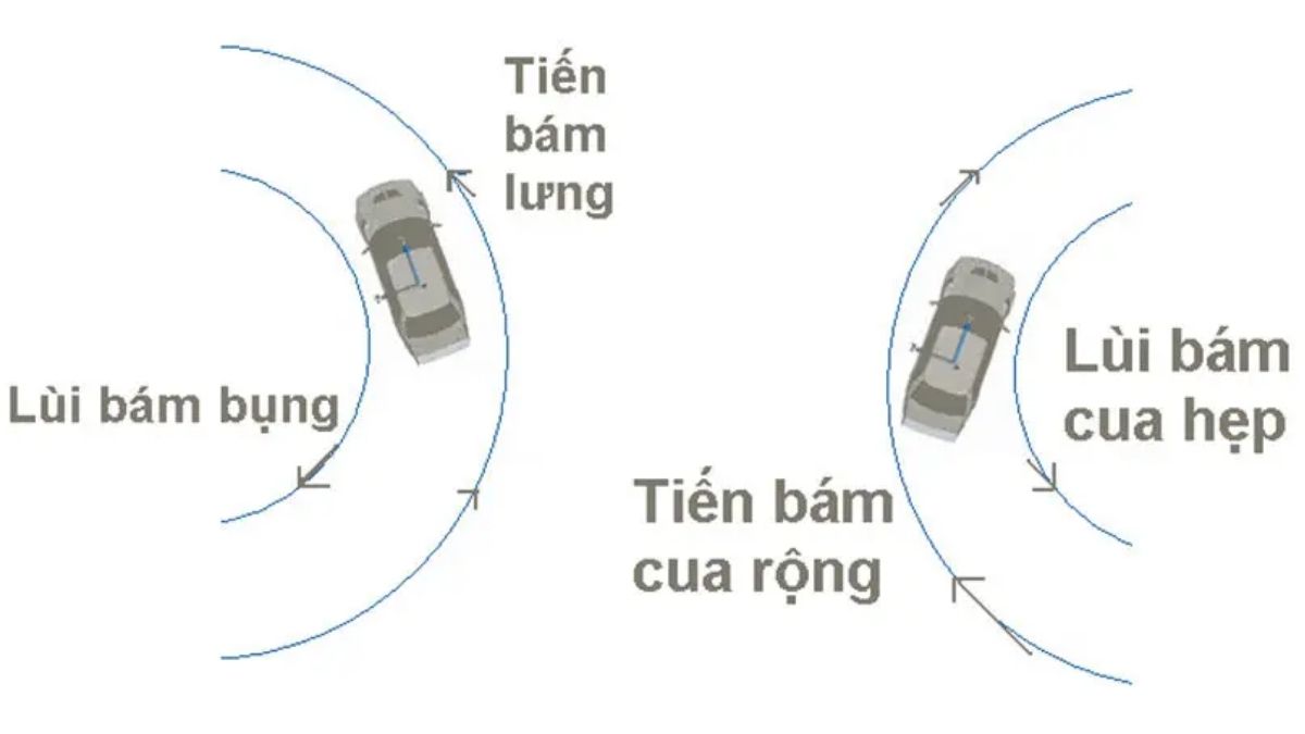 Tiến bám lưng lùi bám bụng