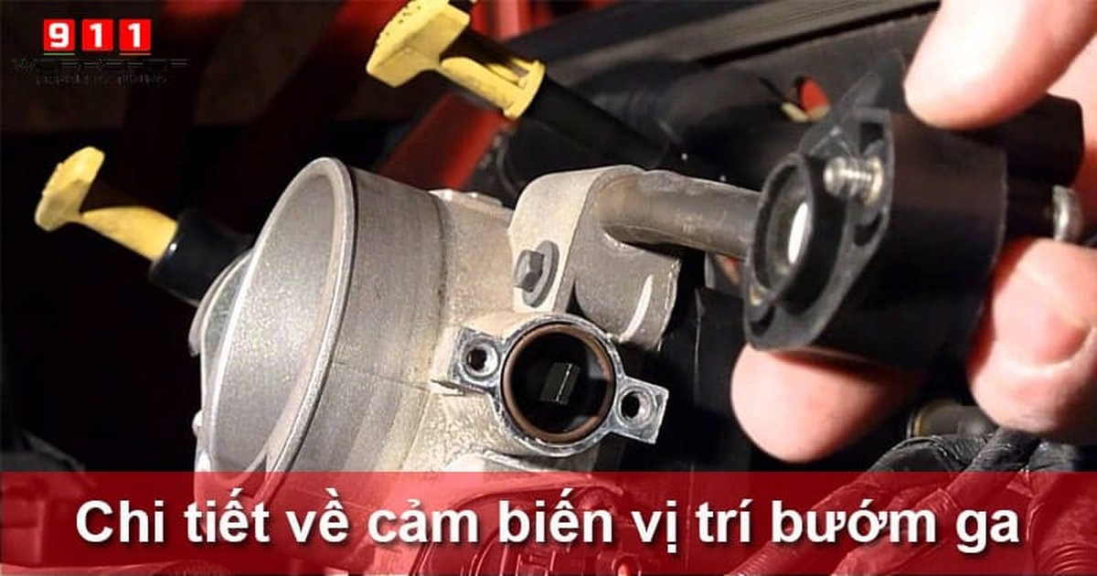 Cảm biến vị trí bướm ga ô tô