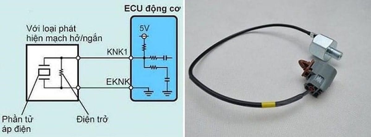 cấu tạo cảm biến kích nổ