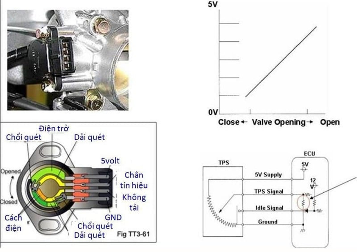 Sơ đồ cảm biến vị trí bướm ga