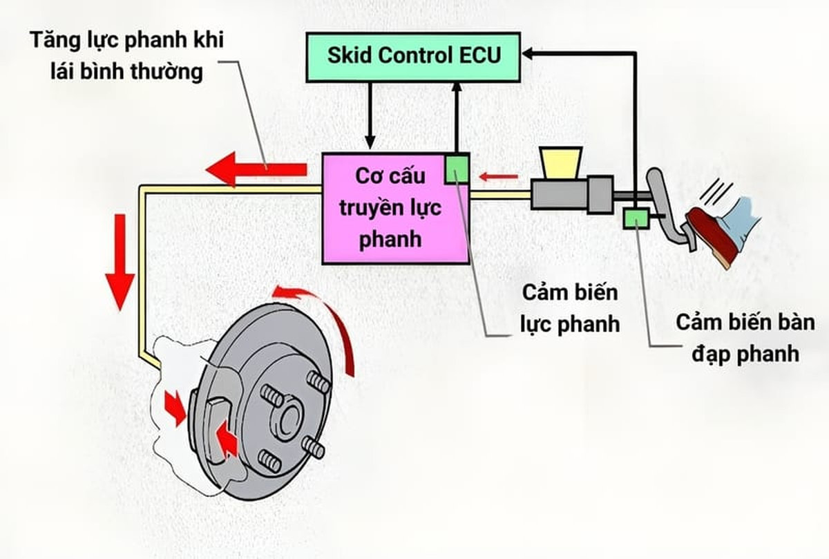 Cấu tạo hệ thống hỗ trợ phanh khẩn cấp trên xe ô tô