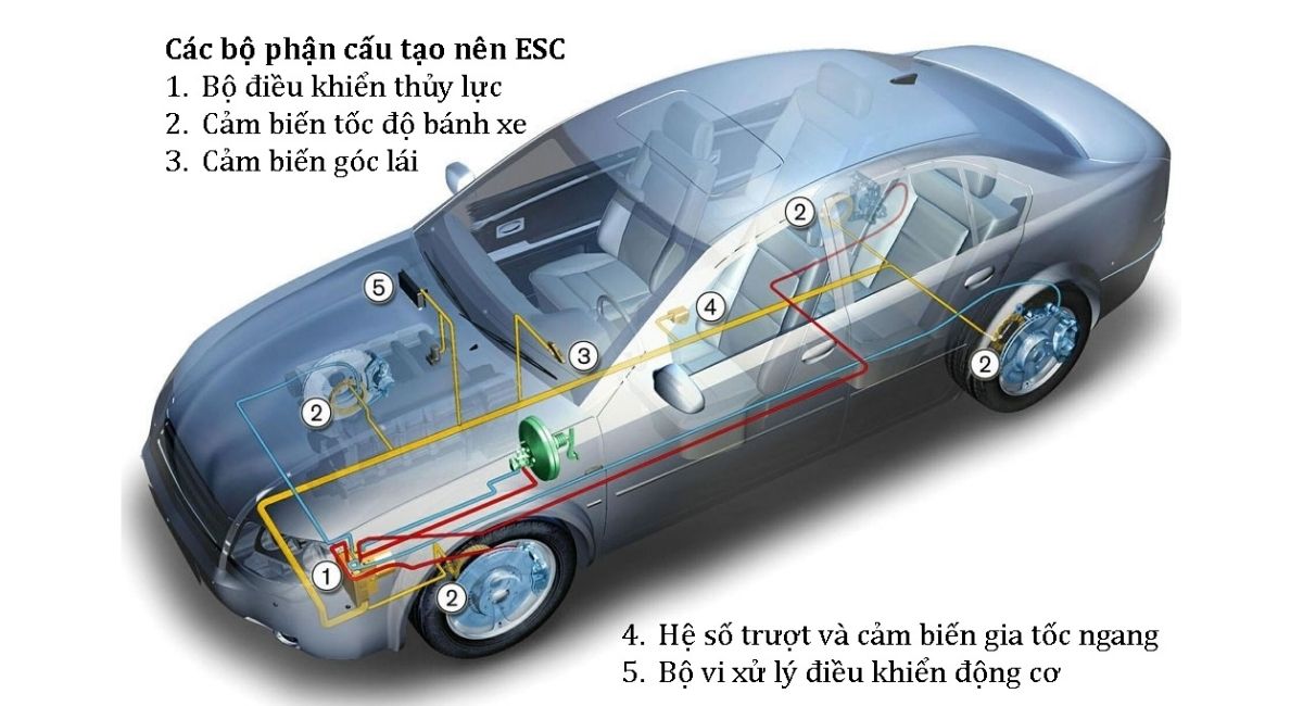 Cấu tạo hệ thống EBD