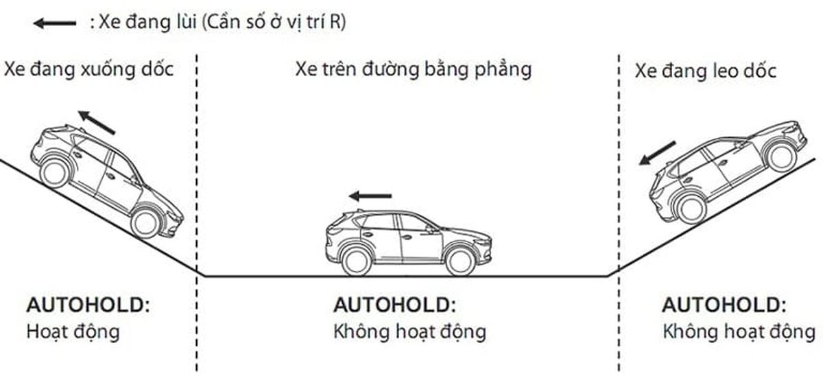 chức năng auto hold trên ô tô là gì